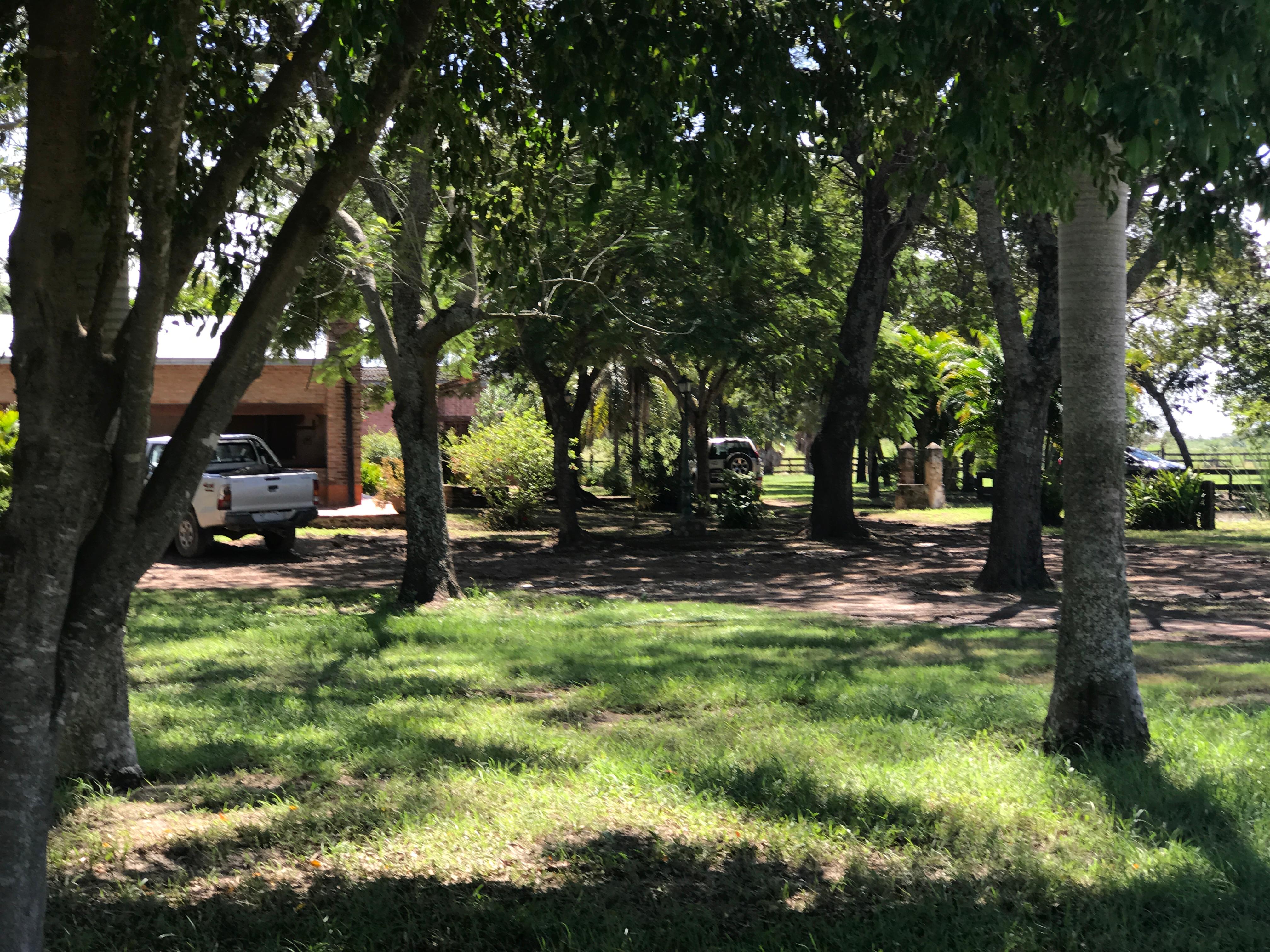 El Yarará - Imagen